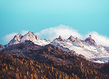 yl23455永利官网登录-苏翊鸣，闭幕式旗手！